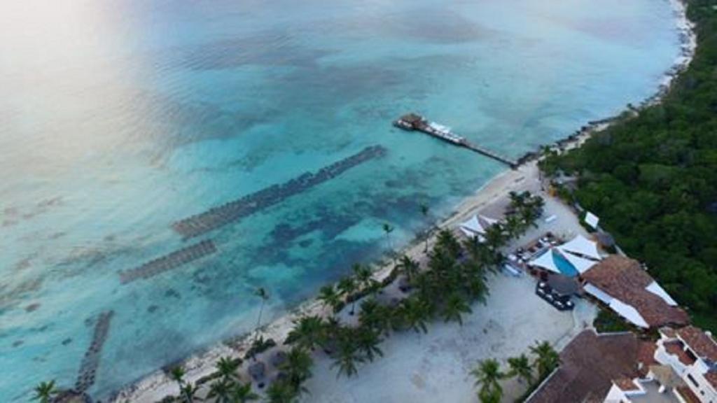 巴亚希贝Cadaques Caribe Pez 103公寓 外观 照片
