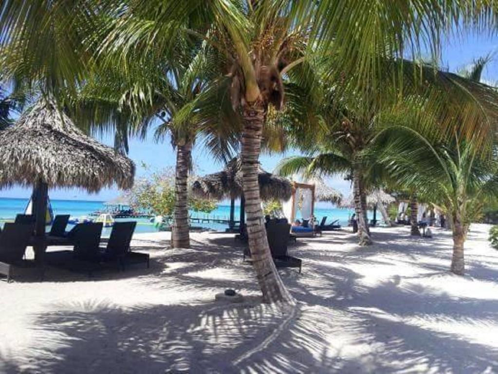 巴亚希贝Cadaques Caribe Pez 103公寓 外观 照片