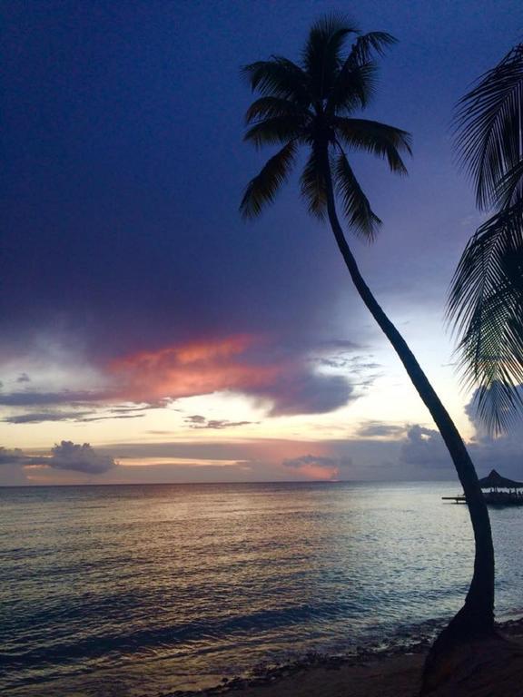 巴亚希贝Cadaques Caribe Pez 103公寓 外观 照片