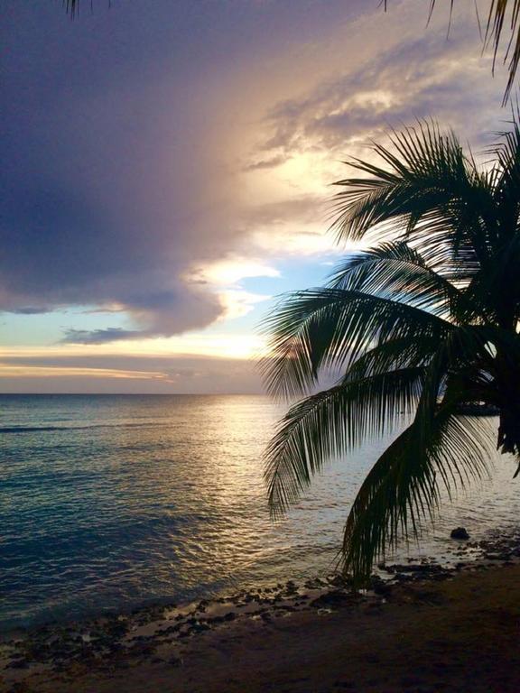 巴亚希贝Cadaques Caribe Pez 103公寓 外观 照片